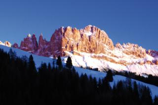Rosengarten im Abendrot